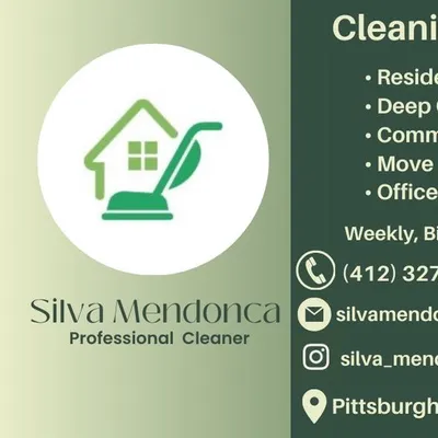 Silva Mendonca Professional Cleaner