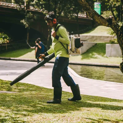 Lawn Cuts Today