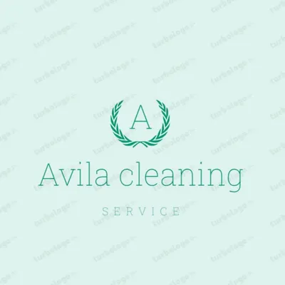 Avila cleaning company