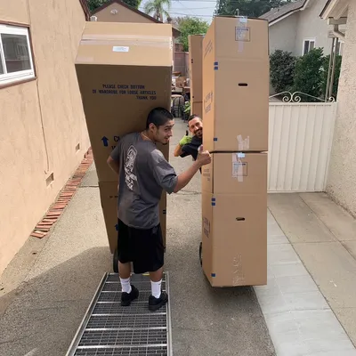 The professional movers