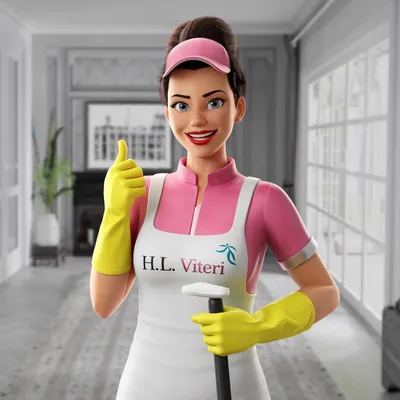 HL Viteri Cleaning Services
