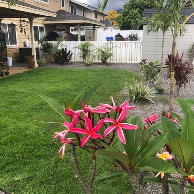 Pacific Coastline Landscape Design LLC