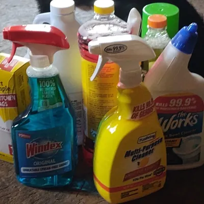 Nichole cleaning service
