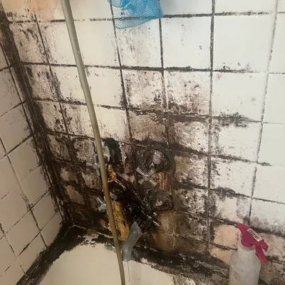 Frederic Cleaner Services