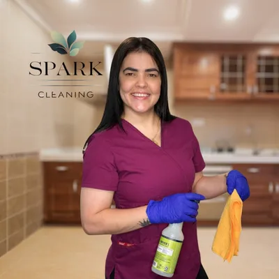 Spark Cleaning