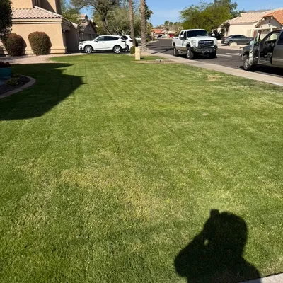 Mauro Landscaping Services
