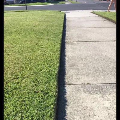Brothers In Lawns and Clean up Crew