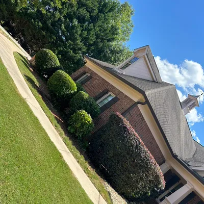 Pepe landscaping