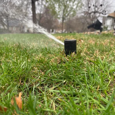 Irrigation Professor