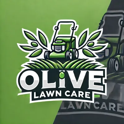 Olive lawn care