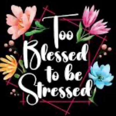 Too Blessed to be Stressed Cleaning