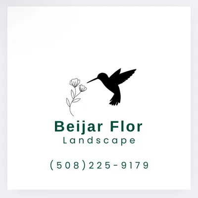 Beija Flor Landscape