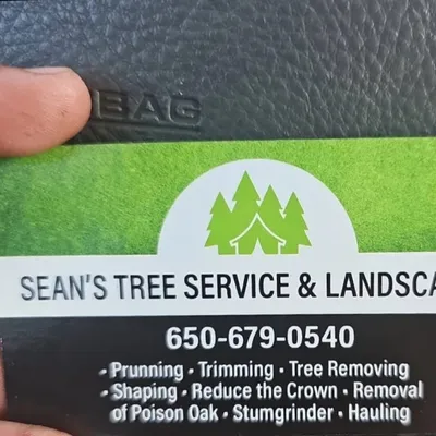 Sean's & Brothers House cleaning