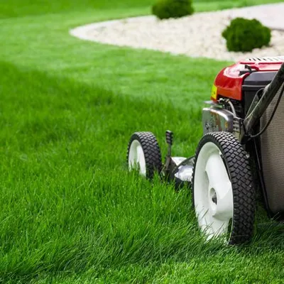 Phoenix Lawn Care