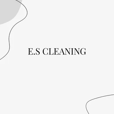 E.S CLEANING