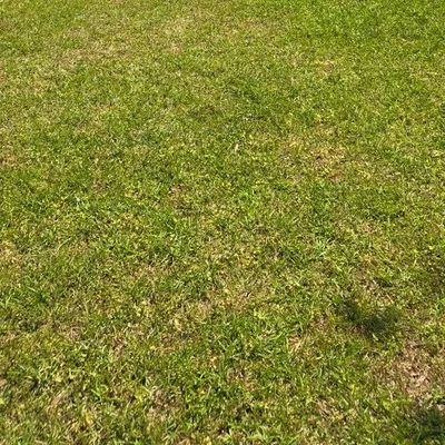 LRC Lawn Care