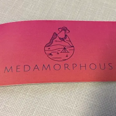 MEDAMORPHOUS LLC