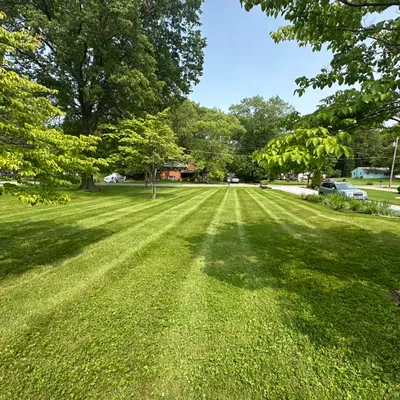 Andrew’s Lawn Cutting