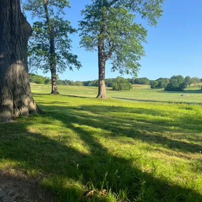 LuckiiElite LandScape’s