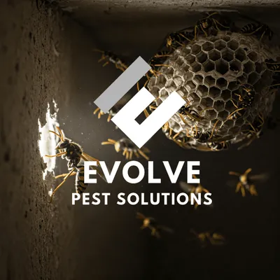 Evolve Pest Solutions