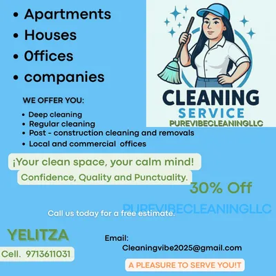 Purevibe cleaning LLC