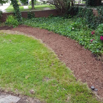 Correa and Son landscaping and tree service
