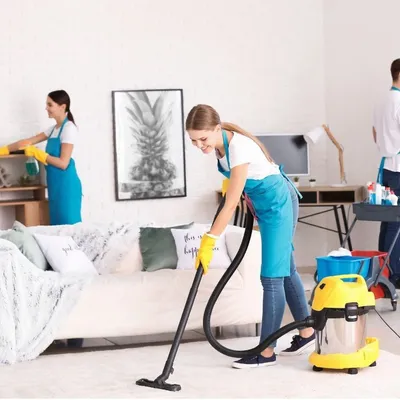 Mina’s cleaning service