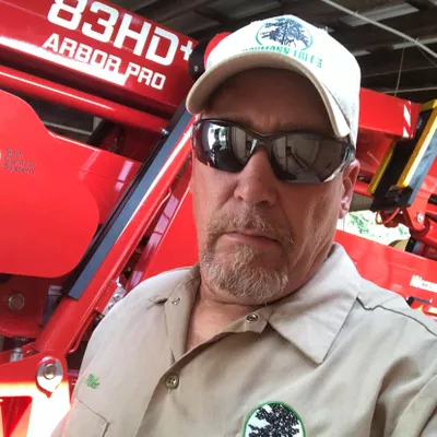 Baumann Tree, LLC
