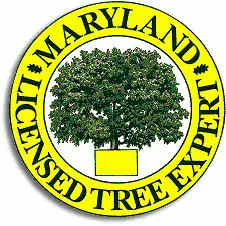 D.E.W. Lawn & Tree Service