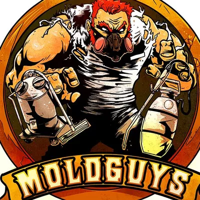 Moldguys Restoration LLC