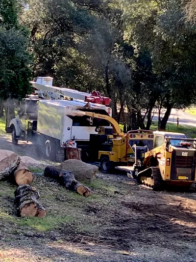 LTC Forestry, Inc.