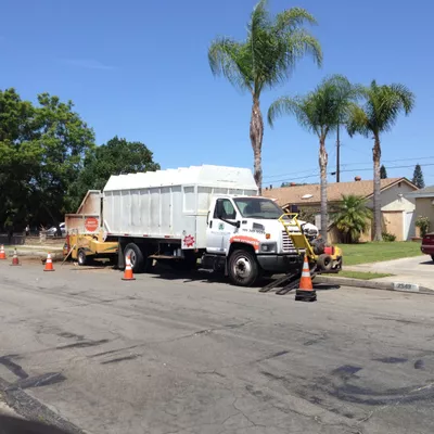 Big Leaf Tree Care