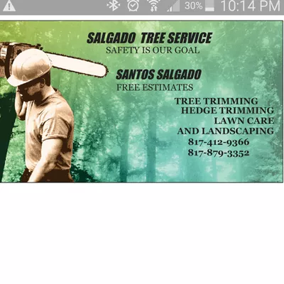 salgado Tree Service