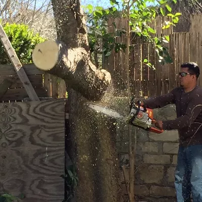 Lupe's Tree Service