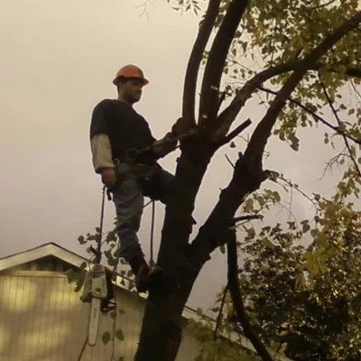 C&B Arbor Care and Land Maintenance