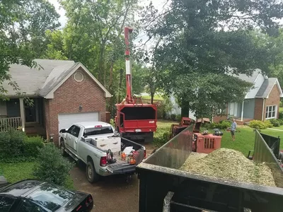 Barber's Tree Service and Customized Landscaping