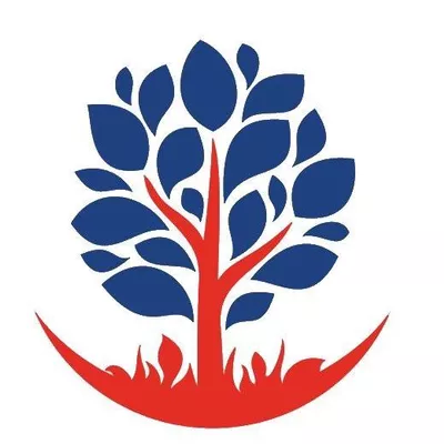 Patriot LFS Inc