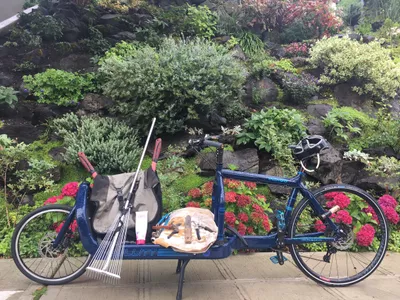 EDT Gardening