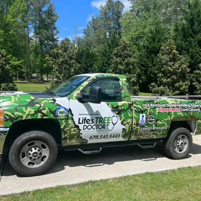 Life's Tree Doctor