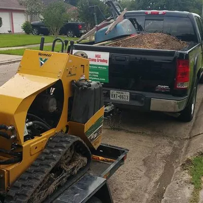 Merino Stump Grinding