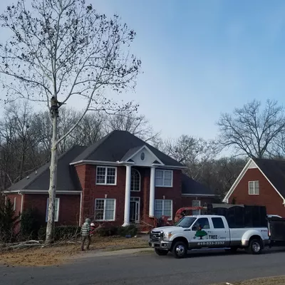 The TREE Company