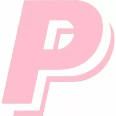 PAINTING PRO CONTRACTORS
