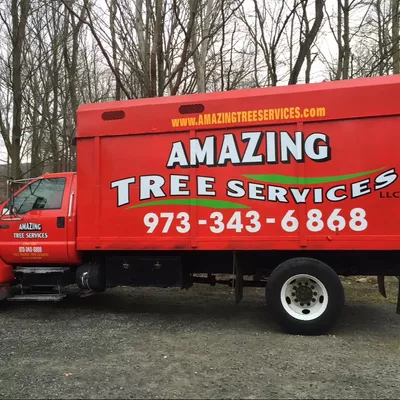 Amazingtree services llc
