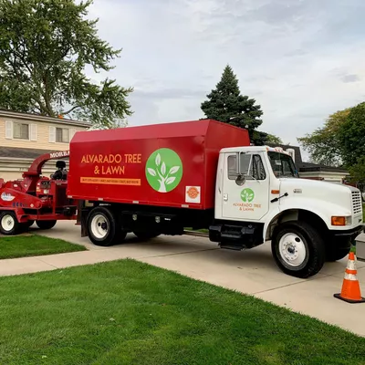 Alvarado Tree & Lawn