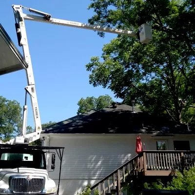 Zamor's Tree Expert llc