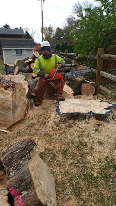 Flores Tree Services