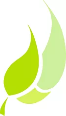 Emerald Meadows Landscaping