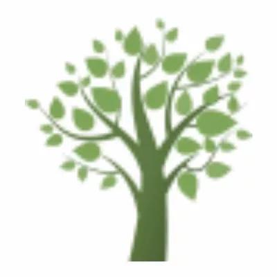 CT Green Llc