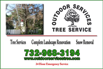 Outdoor Services Tree Service