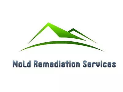 Mold Remediation Service